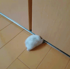7789b0af0b6c47b1194e23a1d977645f.gif