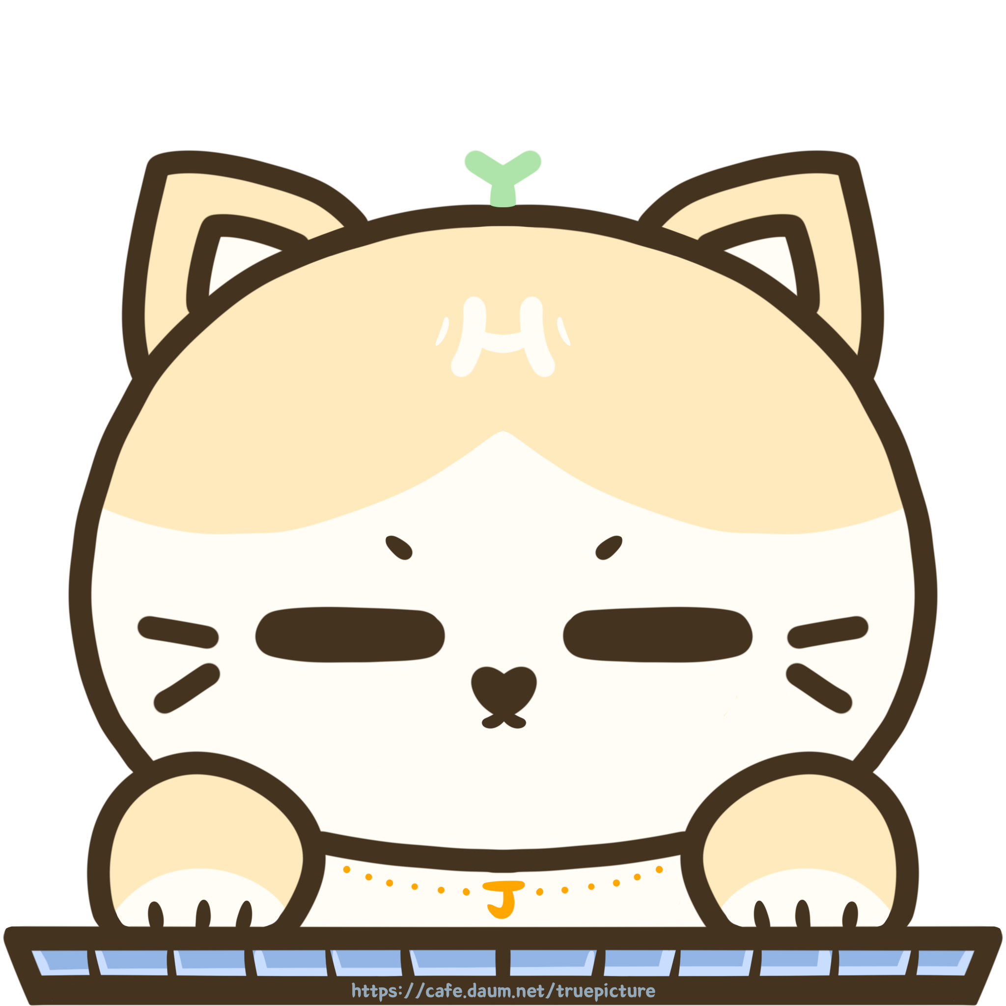 7789f5d4c4a455d475256c6de4a5955d.png