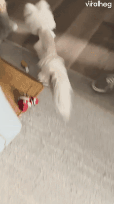 779d1f4912e65c2379a7506138dfcb07.gif