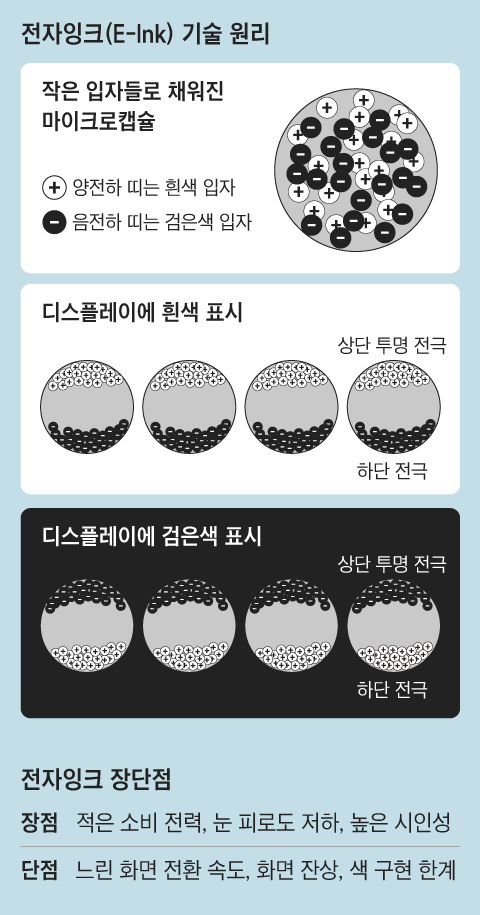 780b119d4cb2be30a5e28fc2e0240ea2.png
