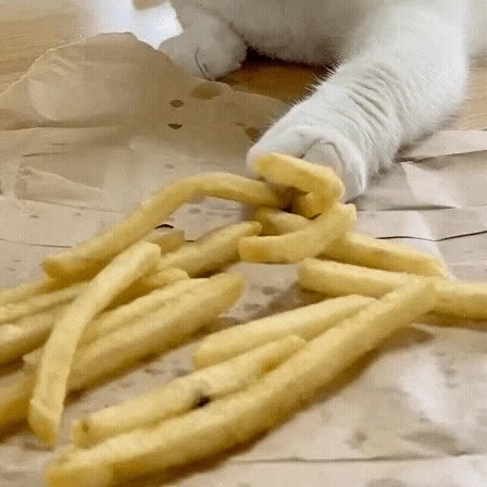 7adbe1b3902696aabf47b31a6a16e219..gif