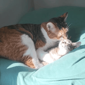 7ae15baeefd29e7e35bd6f285cde6217.gif