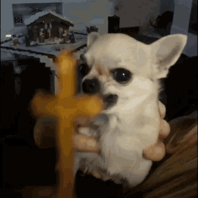 7b8a39a8de624f9e4bb009d990938dc0.gif