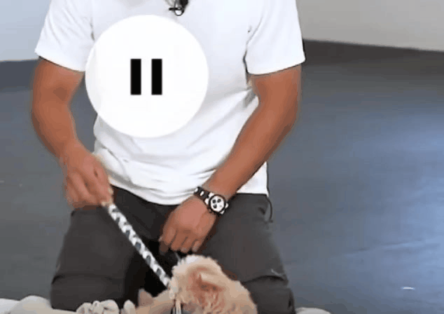 7c746814f2c4c61cdeb9213e4a26fe92.gif