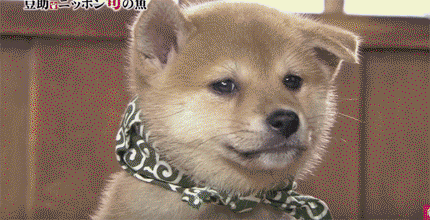 7ee8e8415104648815735aab212566e1.gif