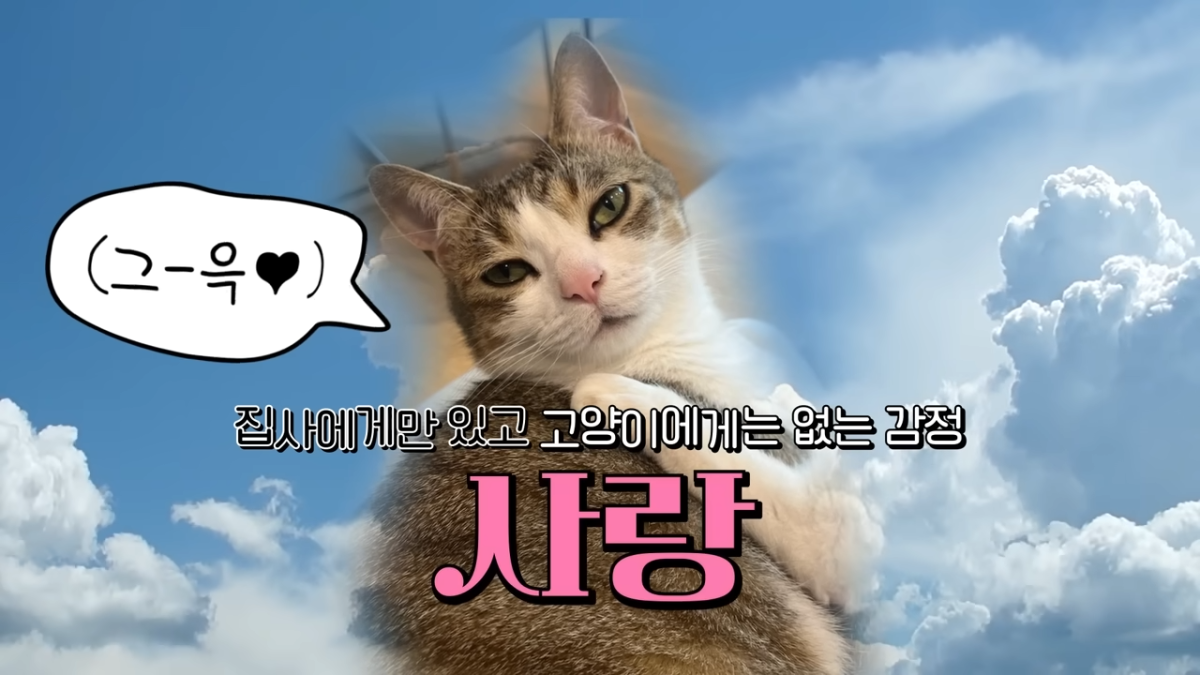 7fec9f161a581255671b477db01df0f5.png