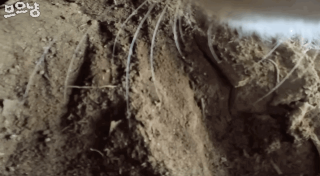 836116328edbfaa5d58bf376652b523d.gif