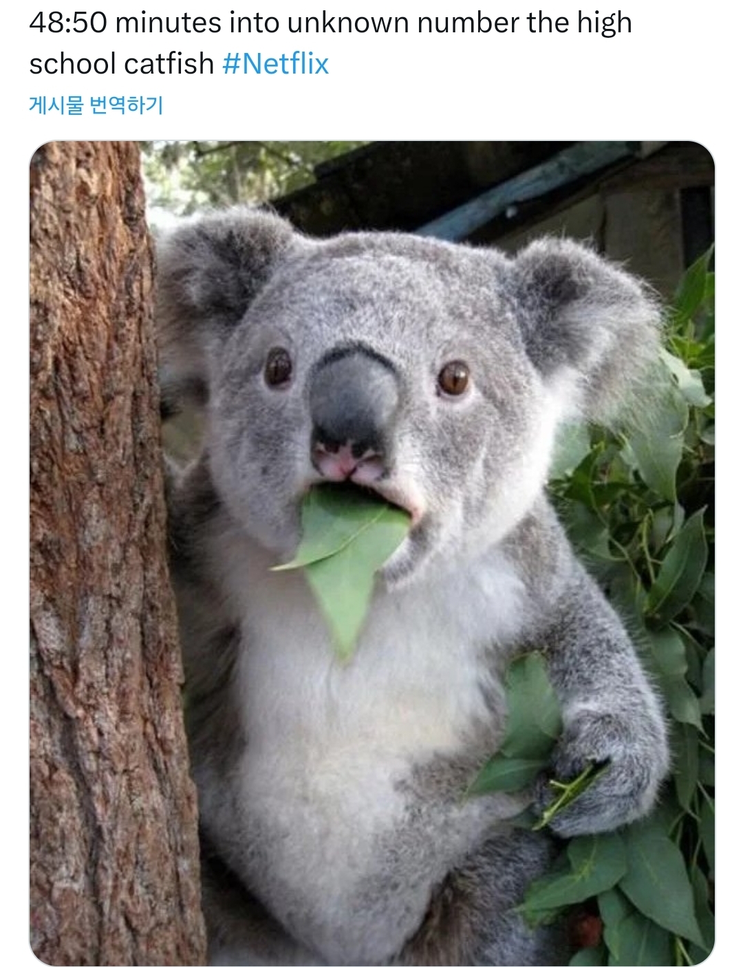 856f72e654884e68ebce519f23f825a6.jpg
