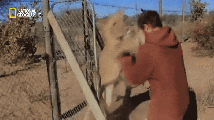 86ac9032eb72dfdcf04f82eddbe28a5e.gif