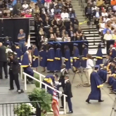 8789fdf6082192d19e2a0f4c6629ff11.gif