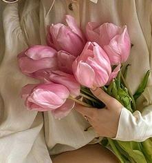 87c29c4b2cc20c7ec87263f2e8480558.jpg