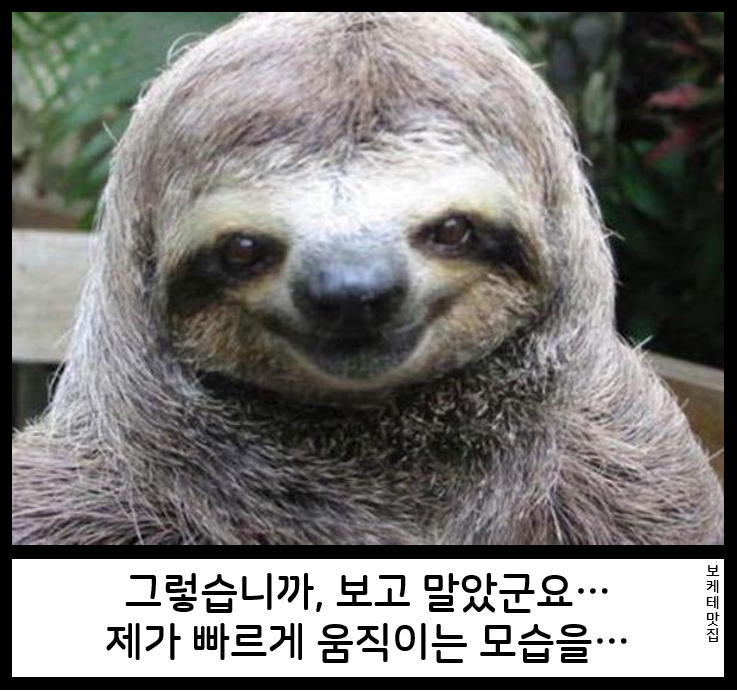 88a86fabbc573e4b8179288cd27ac03e.png