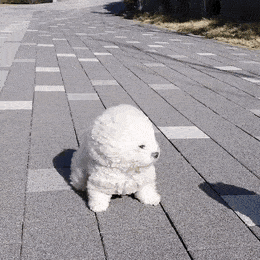 8a23087356f8253a3ab7085d81efa78c.gif
