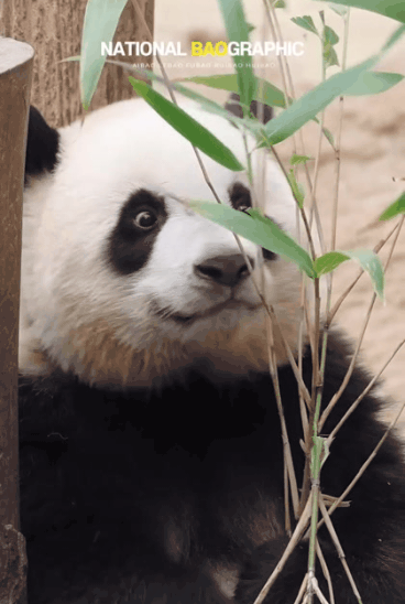 8abbd526300ed7c725209066549c5426.gif