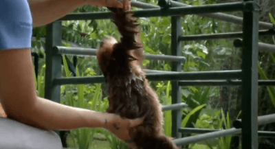 8b1c8f5ef116d72636286d625d8923fb.gif