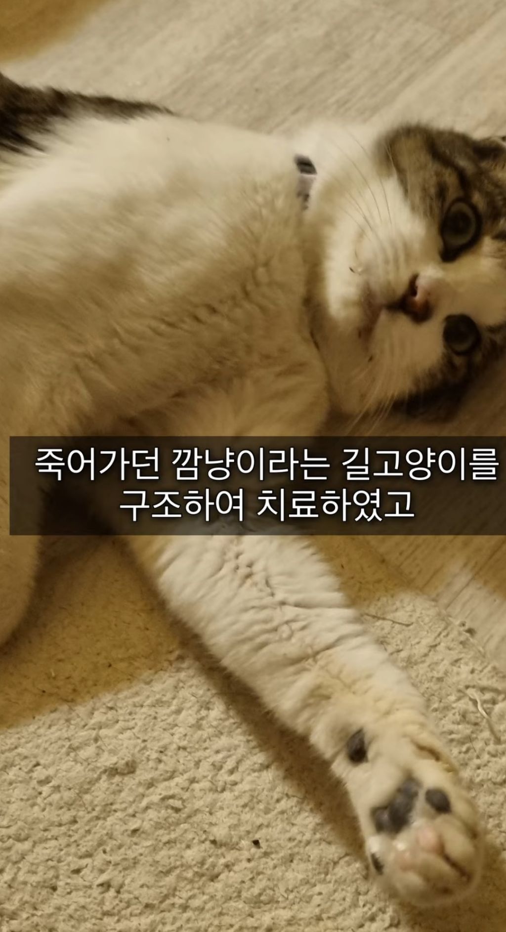 8cd9a6d89cc9d1c1f834ccca578497af.jpg