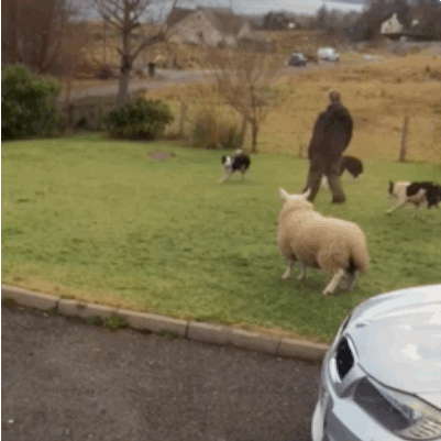 8ce9975aab9d78f1ca59a961437f16ae.gif