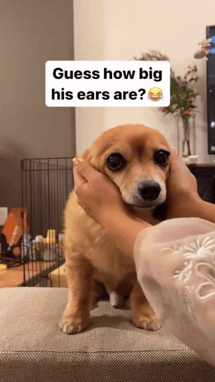8d457c5eba166126b4c05f74a3412df0.gif