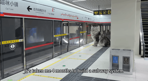 8e047b5bb16154c9bfd12356537859f1.gif