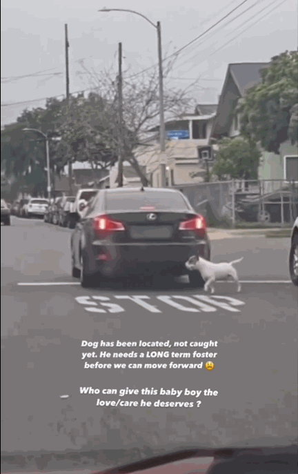 90654d26f2fc6e6519e599a8e4e420dd.gif
