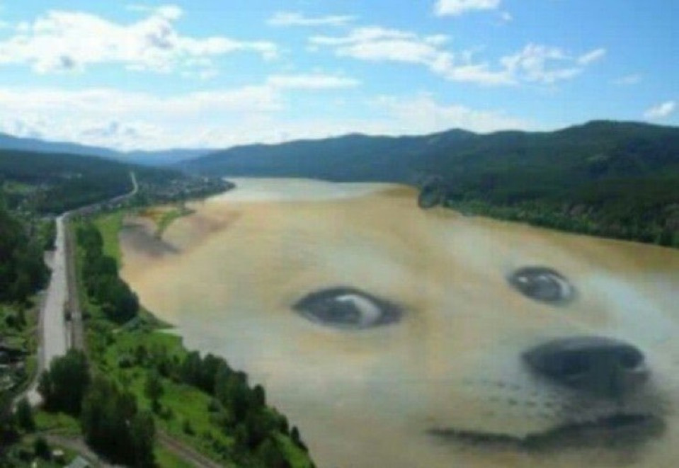 9117590e2e3034375f681b3f105bff4c.jpg