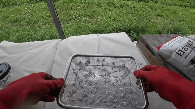 9123261e050785e5936983df4bbcbf54.gif