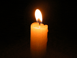 91595bb1c082d8f170f929ff8ffe55fd.gif