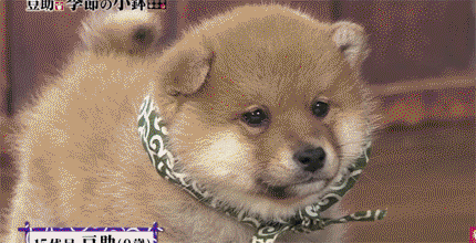 919653d8d3573be5f1d3b20efdce14c4.gif