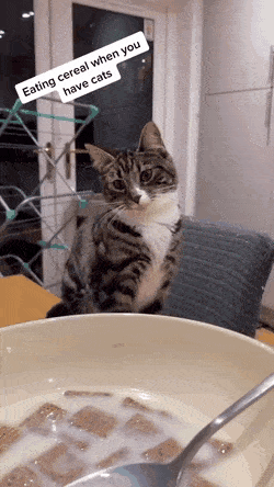 924fbd5c44ecb6826aaf20ca7d4617bb.gif