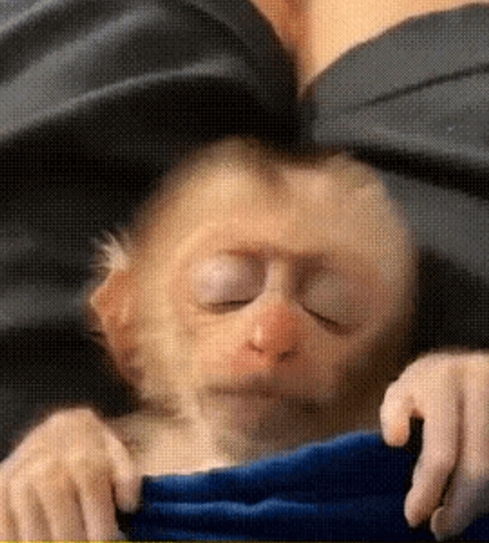 92b04d88f76793c8afae8891748c681a.jpg