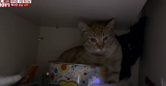 93d2c31a9af823b98e0defa8450cbce8.gif