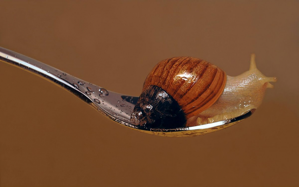 955583735335fe3df2a3e08ff0e15849.jpg