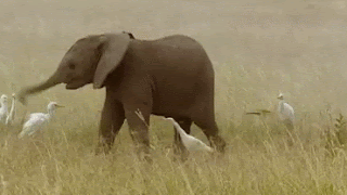 970c325c11635609d4a5ca6f1105cb50.gif