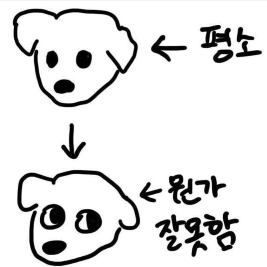 977c223f2ab11f969218ccd87fecd4c1.jpg