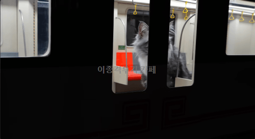 97a62edf0da90ffa87ba0af9a33d1b2f.gif