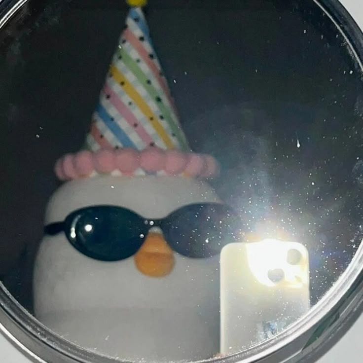 98d5cbb0ccc23bc9336c8dbfb201919e.jpg