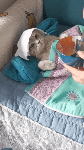 9ad68b4e010755f6f317bbc3afda1349.gif