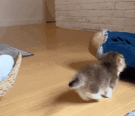 9bcd83b655424e833bcbf55e3c09dc6c.gif