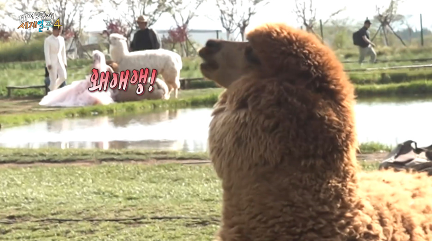9c5531ee032b117a071692bebf82b81b.png