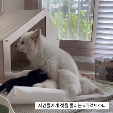 9c5a40302c22793dfdc36b9a7c298da6.gif