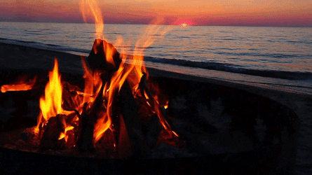 9ee1013fe98dbccca21ad440386e4a91.gif