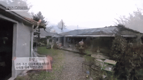 9ffb4ff0d373f6e88bd6d51db5749cdc.gif