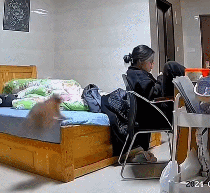 a0484779b1d1319c92a360b02b1cf171.gif
