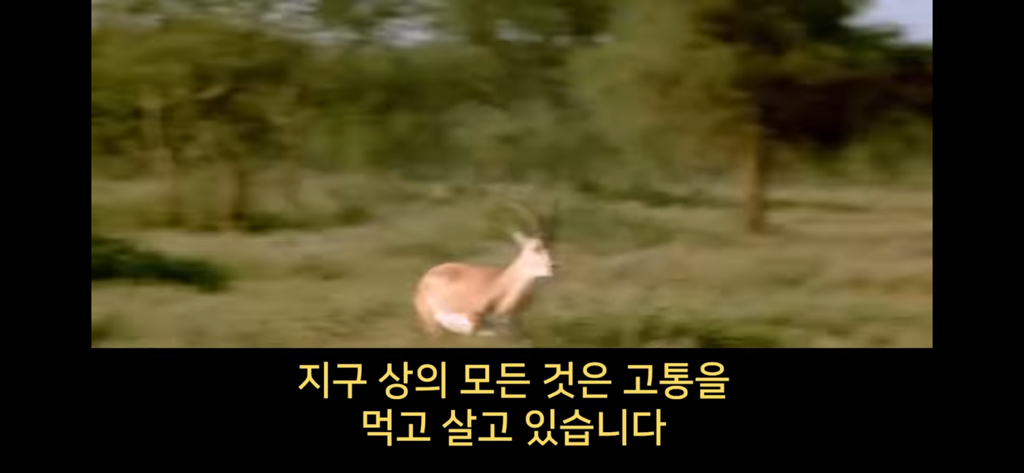 a10e7a2a086b80bcfae073f06add924d.jpg
