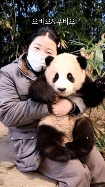 a303088817464012abb69d5d7077b445.gif