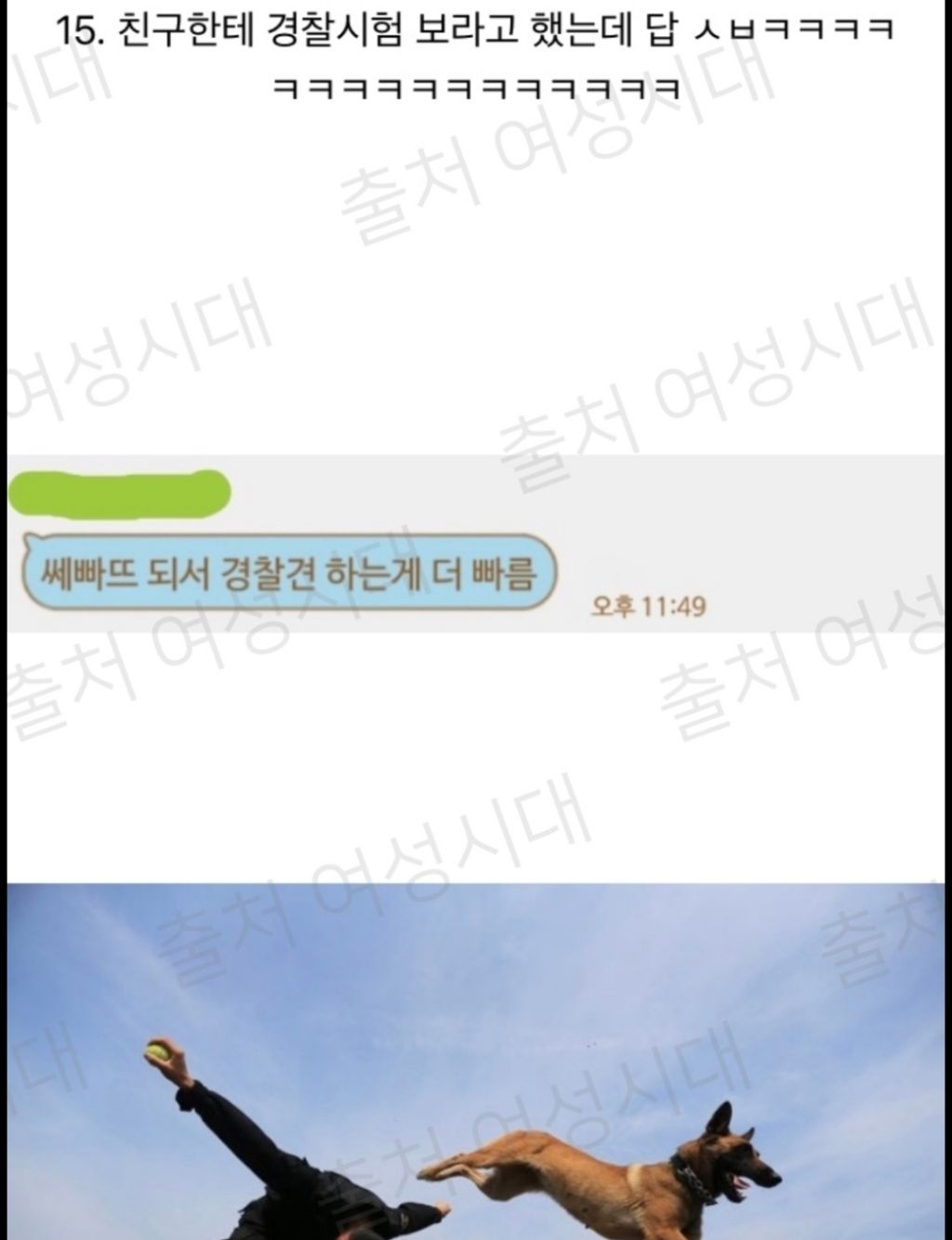 a3dd13e7ce60cba0451e0e201e1508c3.jpg