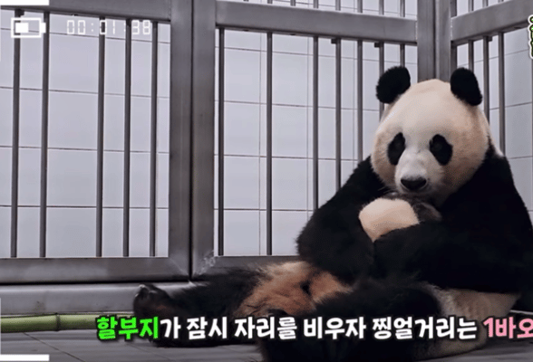 a420d6ddd91912ef42d4721ff05e41bf.gif