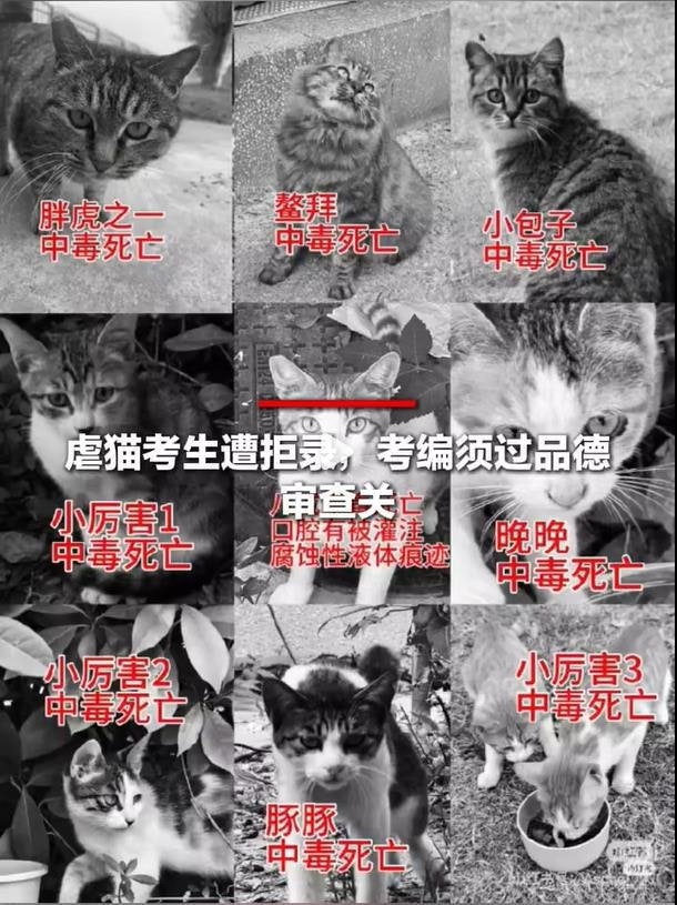 a4236eaae66b2a3752166dddafef187a.jpg