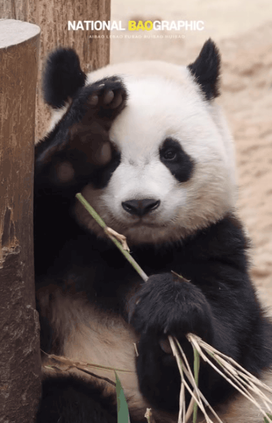 a44d5a6736cf00f5ed838ade44a449bb.gif
