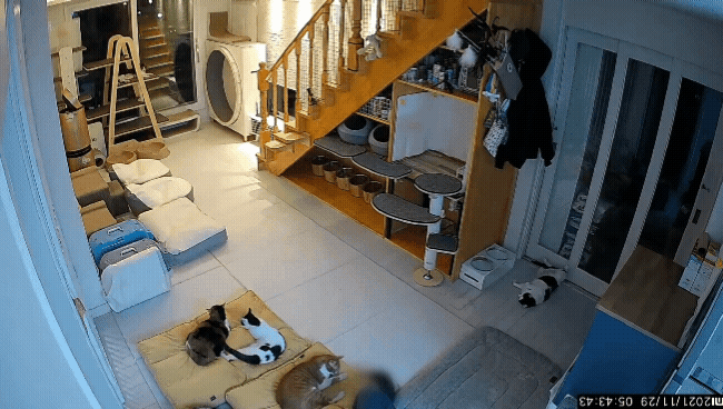 a462398d7f75dd6d595fe3eaf40591b4.gif
